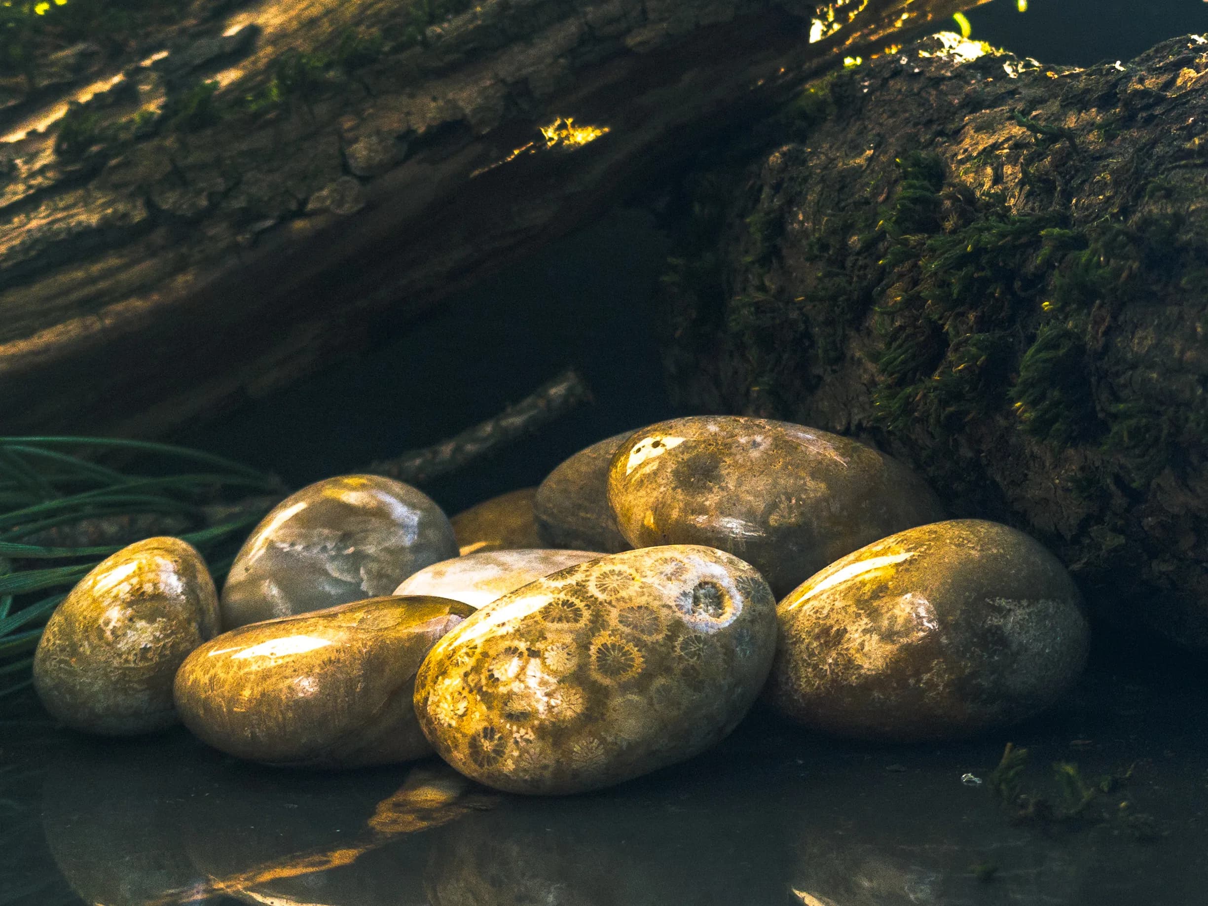Koralinis nefritas: vandenyno žiedų palikimas
