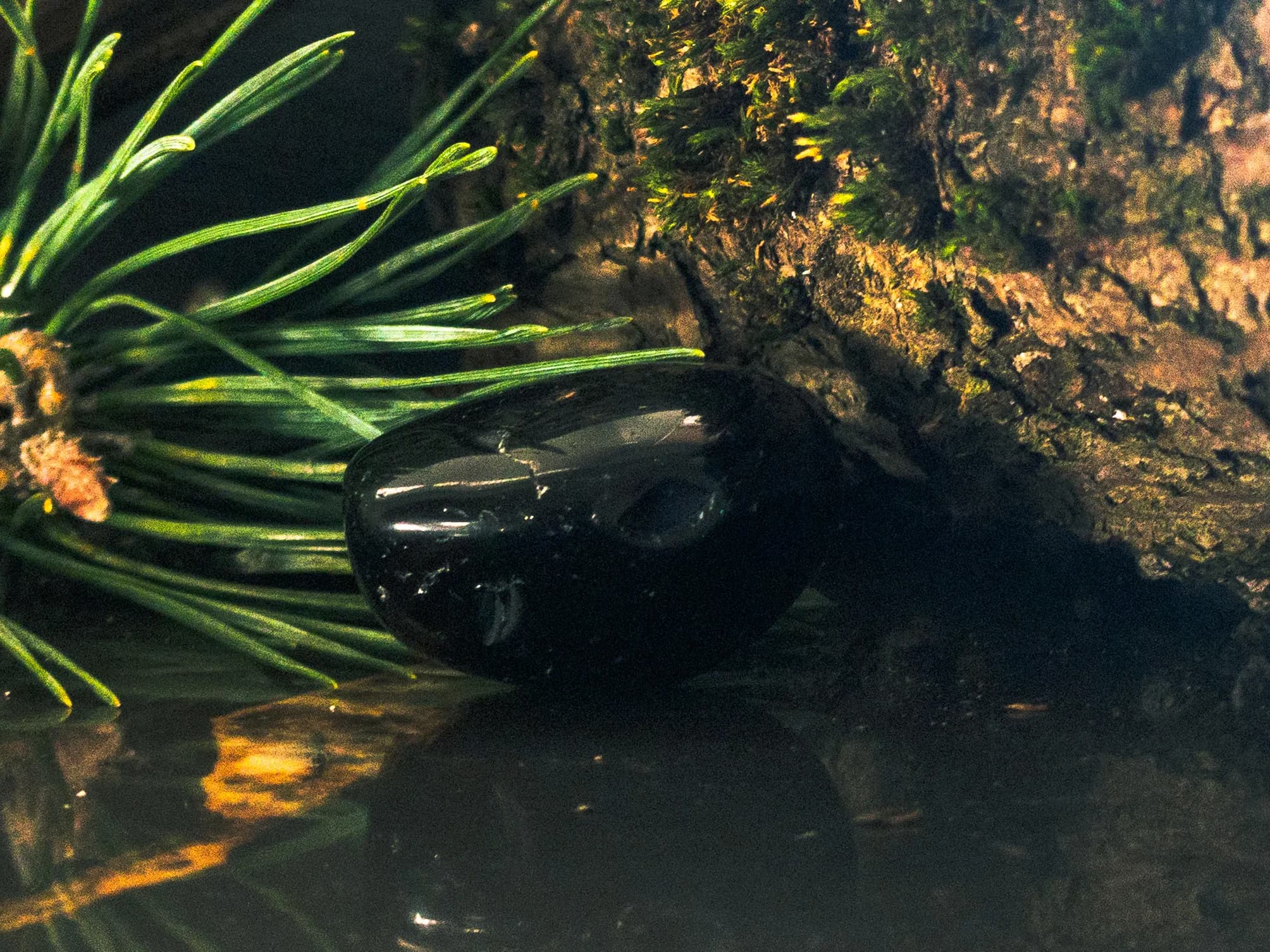 Atskleidžiant Juodojo Obsidiano Paslaptis: Galingasis Vulkaninis Stiklas